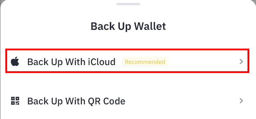 copying wallet to iCloud