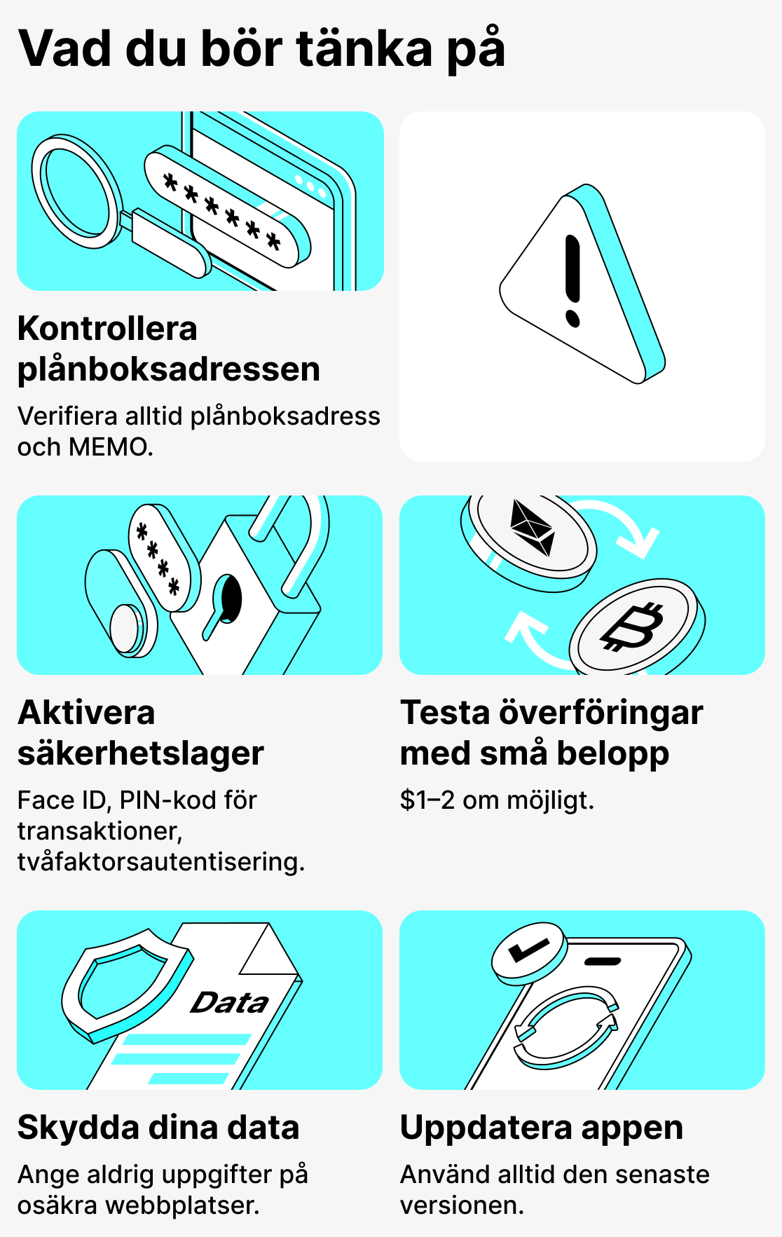 Vad du bör tänka på när du använder kryptoplånböcker