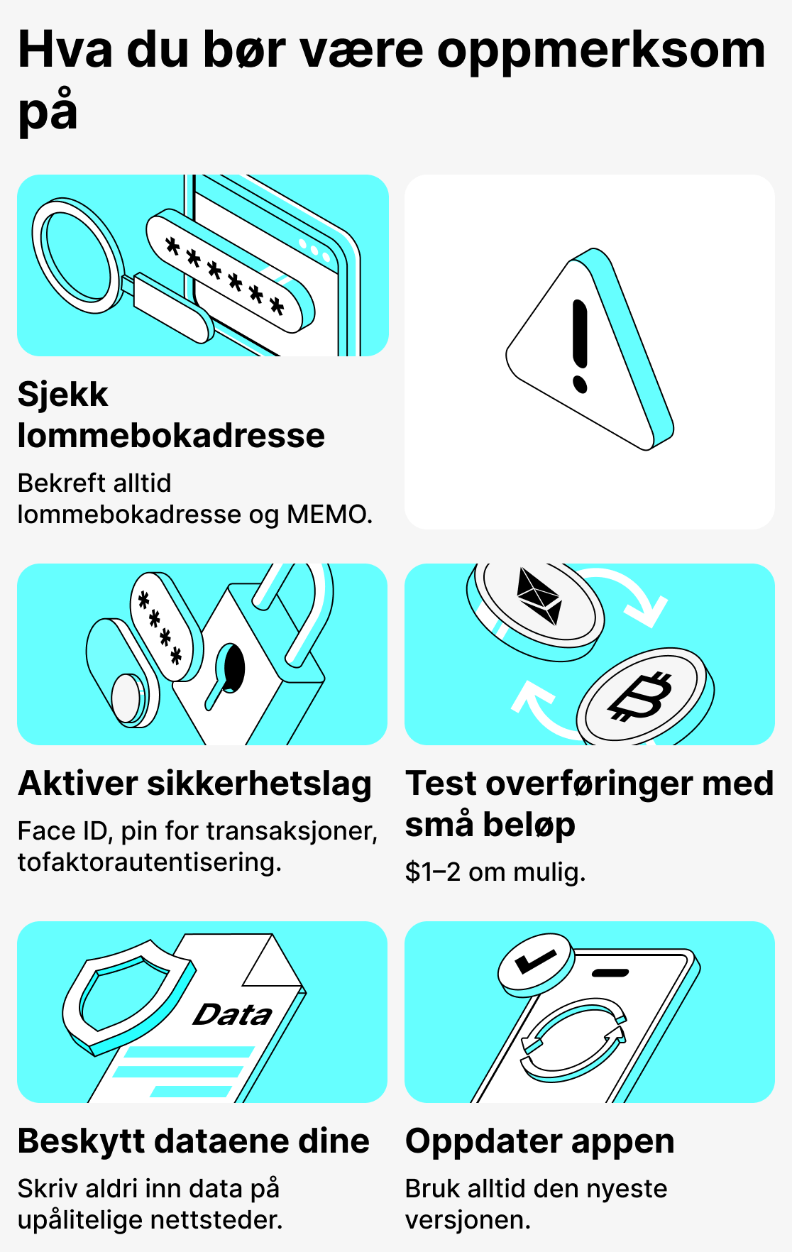 Hva du bør være oppmerksom på når du bruker kryptolommebøker